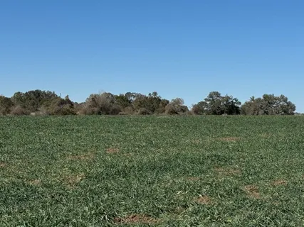 $5,241,452 | Tbd Tbd Wolters And Kainer Road, Schulenburg, TX 78956