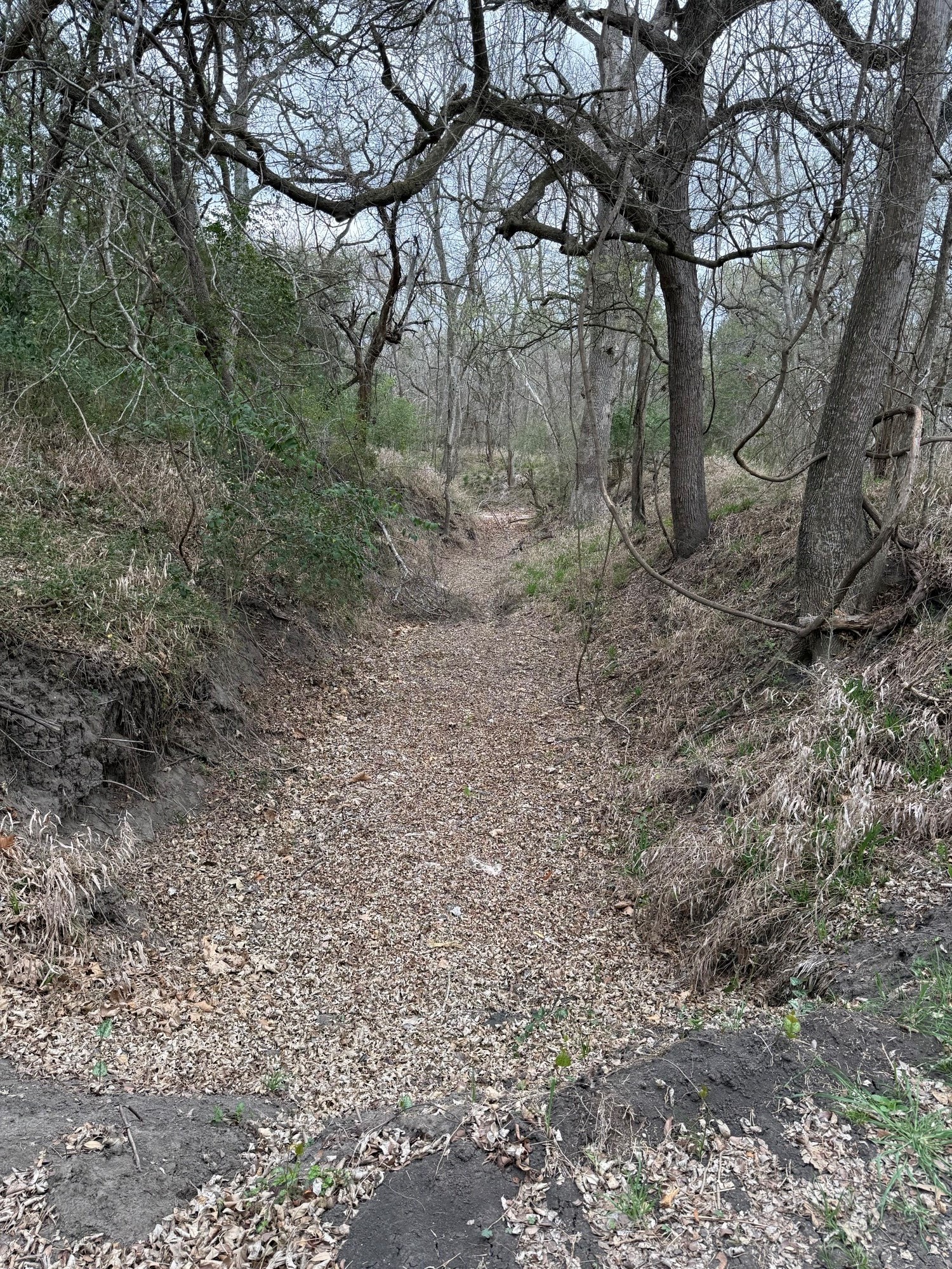 Tbd Tbd Wolters And Kainer Road Schulenburg, TX 78956 - Photo 19 of 19