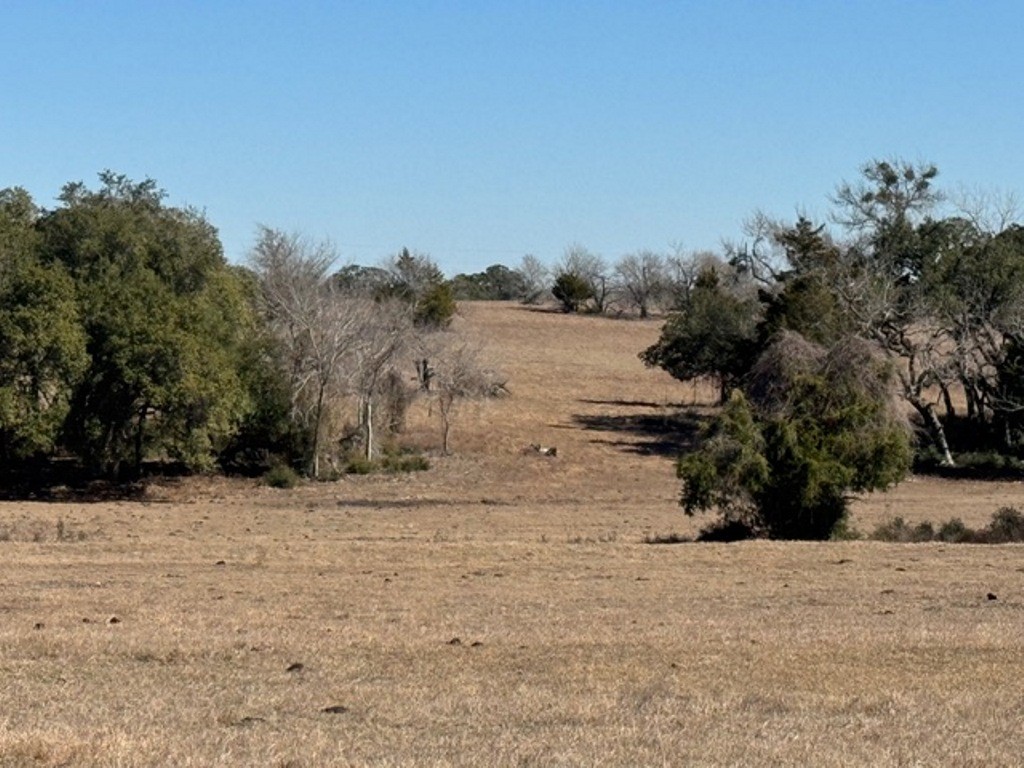 Tbd Tbd Wolters And Kainer Road Schulenburg, TX 78956 - Photo 19 of 25 a view of dirt yard with a tree