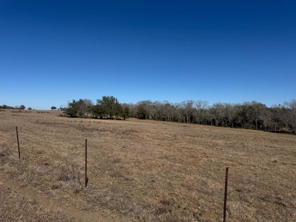 Tbd Tbd Wolters And Kainer Road Schulenburg, TX 78956 - Photo 20 of 25 a view of lake and mountain view