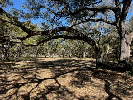 $5,241,452 | Tbd Tbd Wolters And Kainer Road, Schulenburg, TX 78956