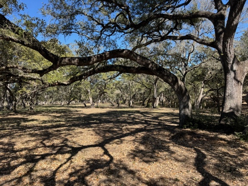 Tbd Tbd Wolters And Kainer Road Schulenburg, TX 78956 - Photo 2 of 25 a view of a yard with an outdoor space