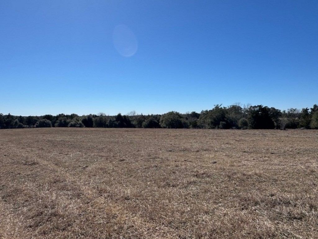 Tbd Tbd Wolters And Kainer Road Schulenburg, TX 78956 - Photo 22 of 25 a view of lake