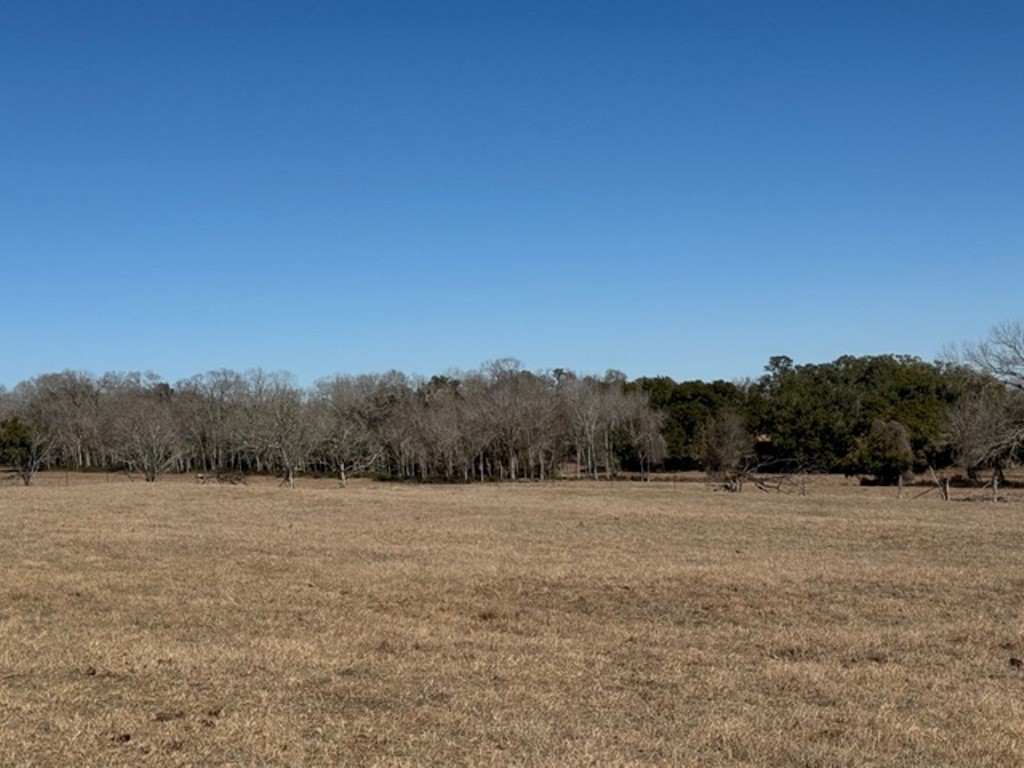 Tbd Tbd Wolters And Kainer Road Schulenburg, TX 78956 - Photo 24 of 25 a view of a field with a view of trees