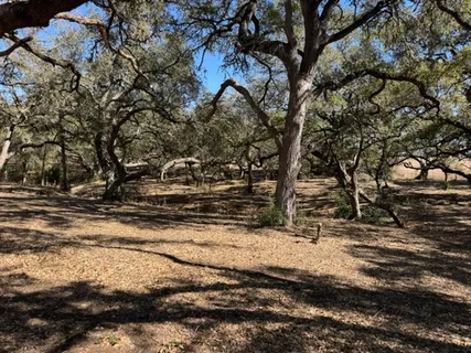 $5,241,452 | Tbd Tbd Wolters And Kainer Road, Schulenburg, TX 78956