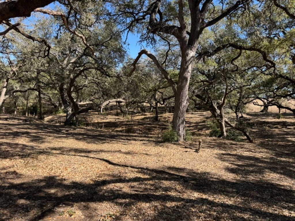 Tbd Tbd Wolters And Kainer Road Schulenburg, TX 78956 - Photo 3 of 25 a view of yard covered with snow
