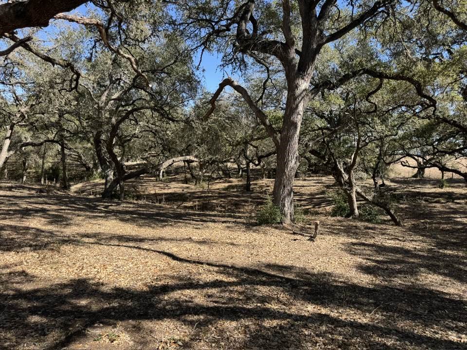 Tbd Tbd Wolters And Kainer Road Schulenburg, TX 78956 - Photo 4 of 19