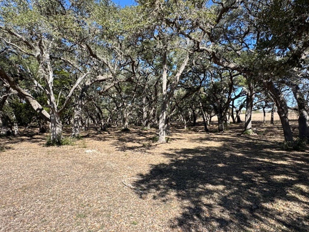 Tbd Tbd Wolters And Kainer Road Schulenburg, TX 78956 - Photo 5 of 25 a view of a yard with snow on the road