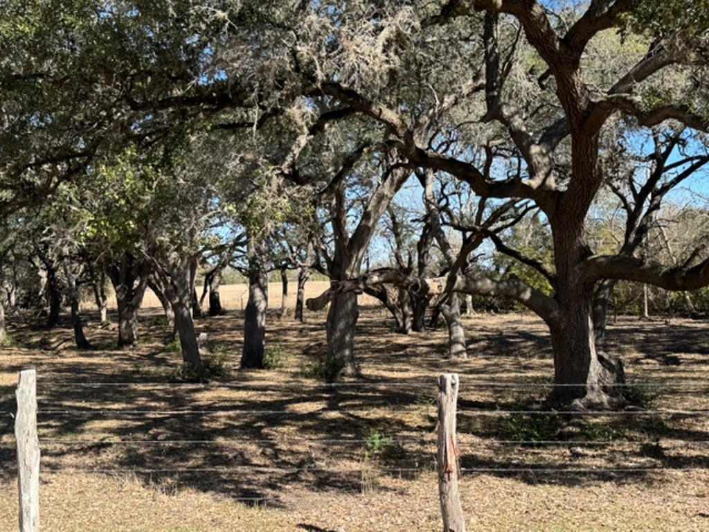 Tbd Tbd Wolters And Kainer Road Schulenburg, TX 78956 - Photo 7 of 25