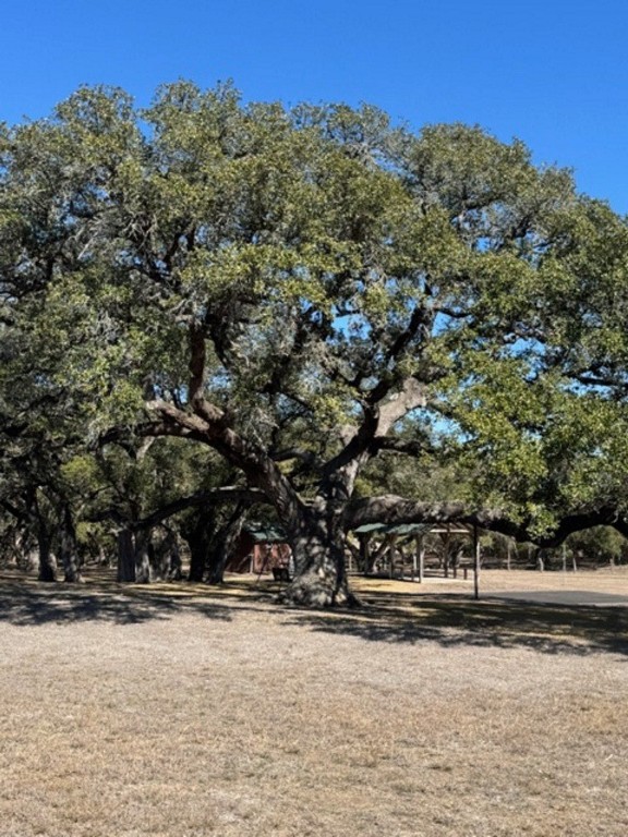 Tbd Tbd Wolters And Kainer Road Schulenburg, TX 78956 - Photo 10 of 25 a view of a yard with a house