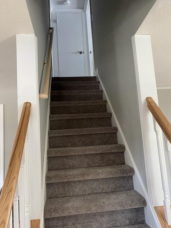44 Arden Street Springfield, MA 01118 - Photo 23 of 35 Gallery Image 23