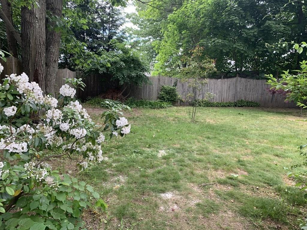 44 Arden Street Springfield, MA 01118 - Photo 30 of 35 Gallery Image 30