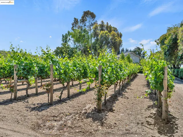 $2,299,000 | 17035 Terminous Road, Isleton, CA 95641