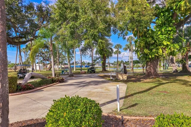 a view of outdoor dining space with plants and palm tree