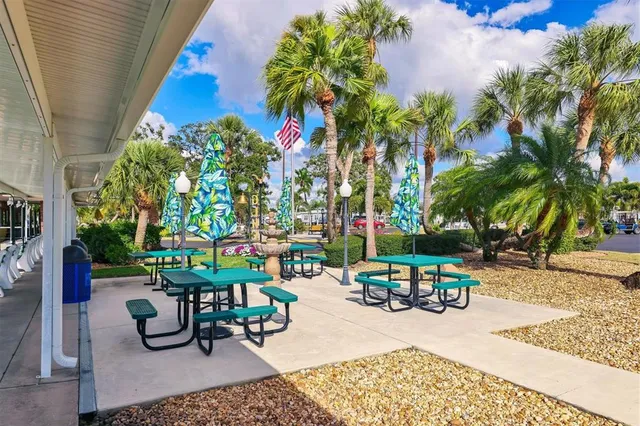 a view of a pathway with flower plants