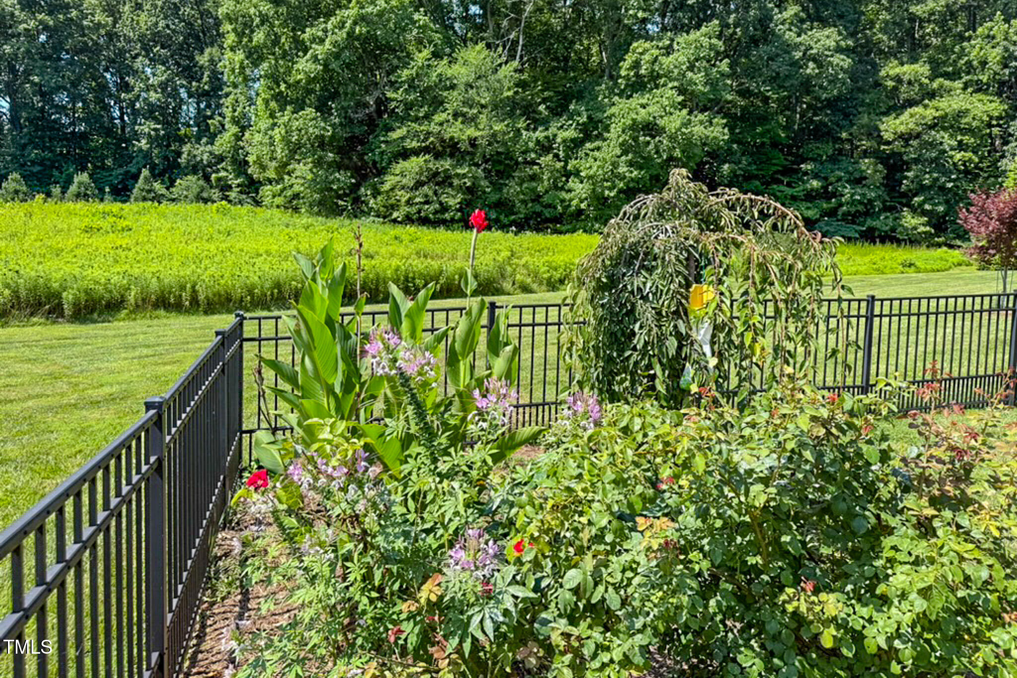 90 South Old Lantern Road Timberlake, NC 27583 - Photo 57 of 63 a view of a garden with an outdoor space