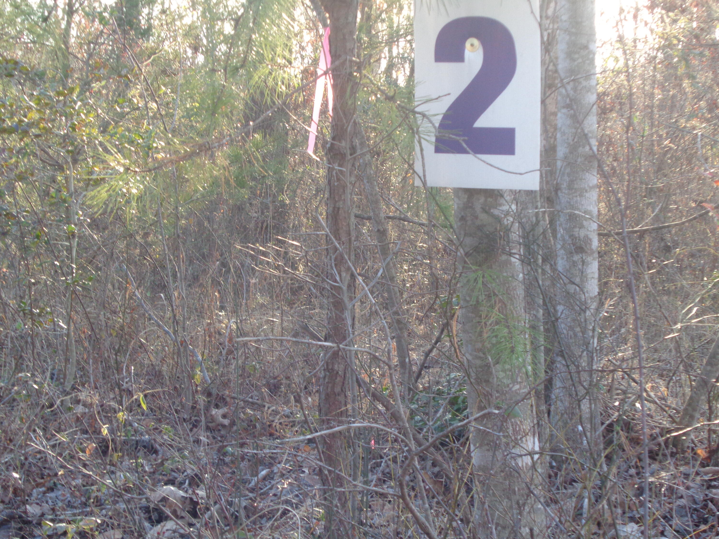 Lot 2 Fount Hubbard Road London, KY 40741 - Photo 4 of 31 DSC07479