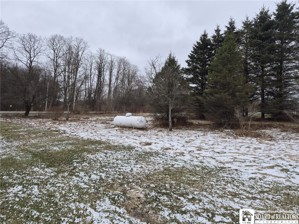5743 Stockton-Hartfield Road Chautauqua, NY 14728 - Photo 19 of 24 Propane