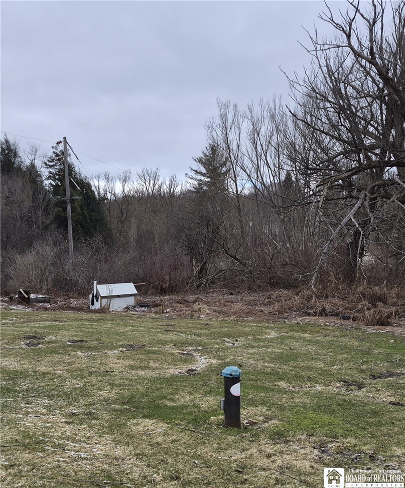 5743 Stockton-Hartfield Road Chautauqua, NY 14728 - Photo 22 of 24 Drilled Well