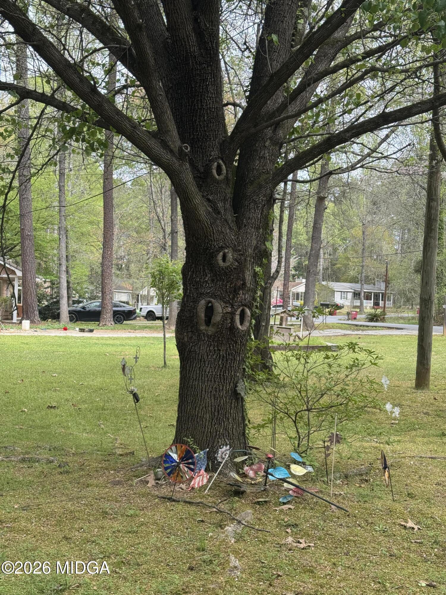 682 Wilderness Drive Macon, GA 31220 - Photo 23 of 25 a view of a tree with a yard