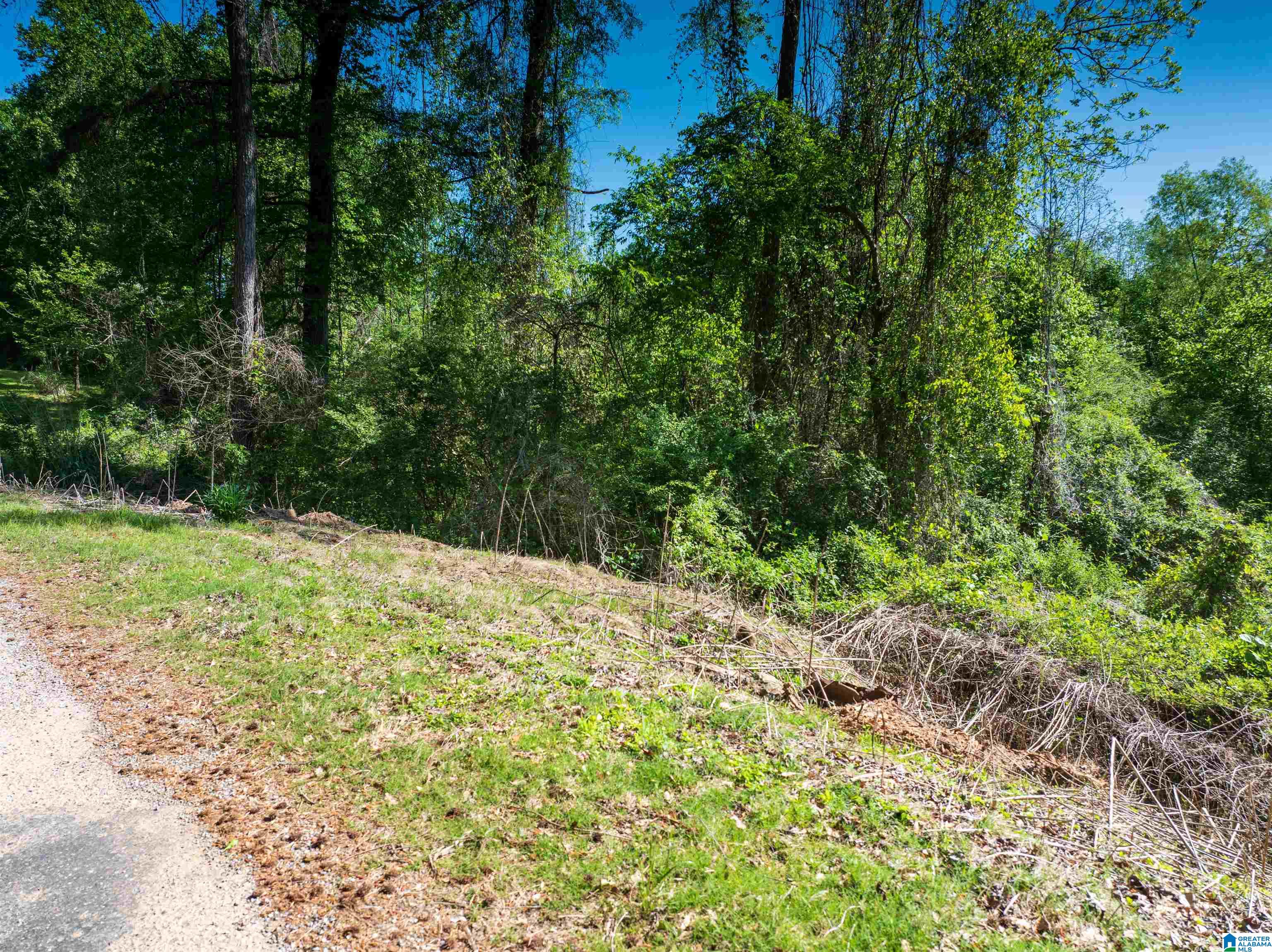 Off Of Joe Brackett Road, Unit X Jasper, AL 35504 - Photo 8 of 26