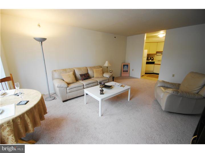 2020 Walnut Street, Unit 6C Philadelphia, PA 19103 - Photo 7 of 21 Living Room