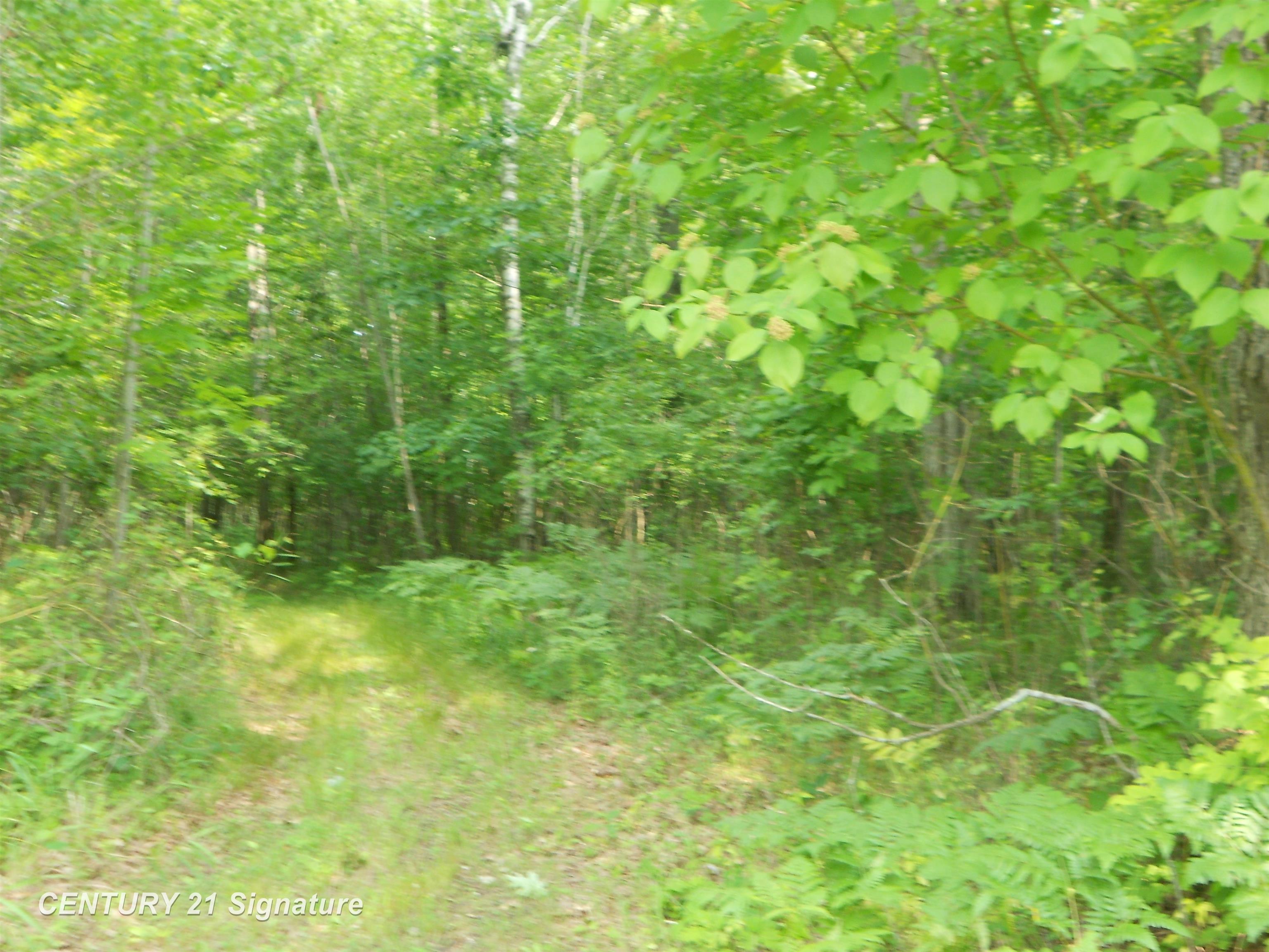 5185 Henderson Lake Road Prescott, MI 48756 - Photo 33 of 39 50116528-30.JPG