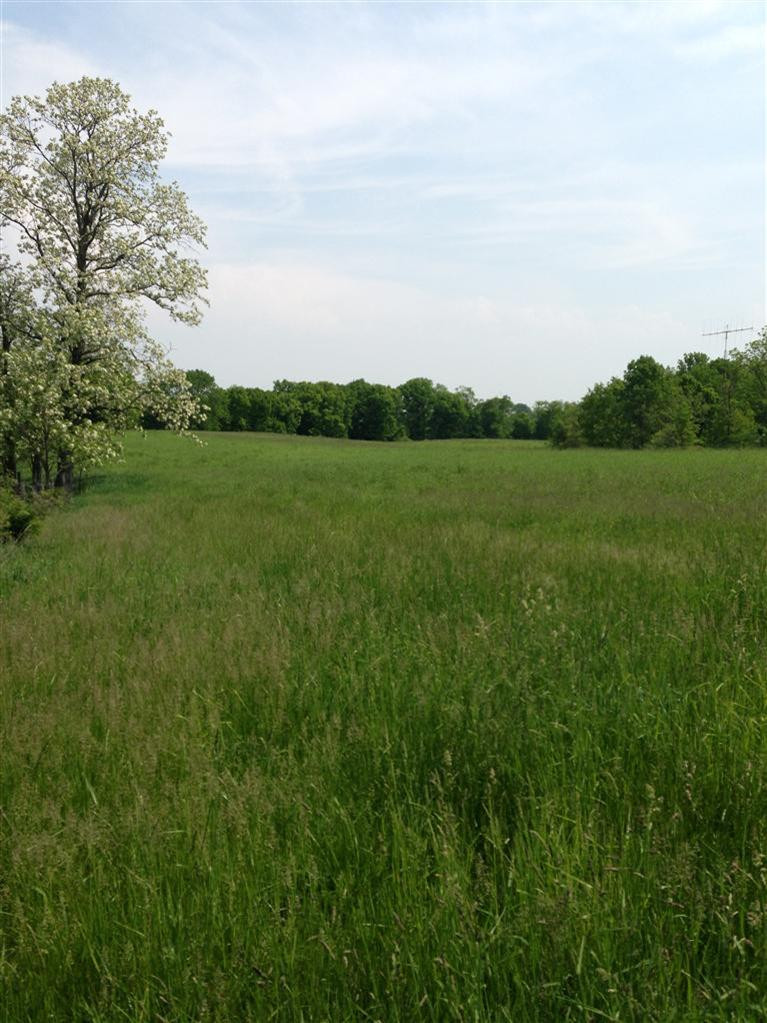 0 Sugar Creek Road Dry Ridge, KY 41035 - Photo 11 of 14