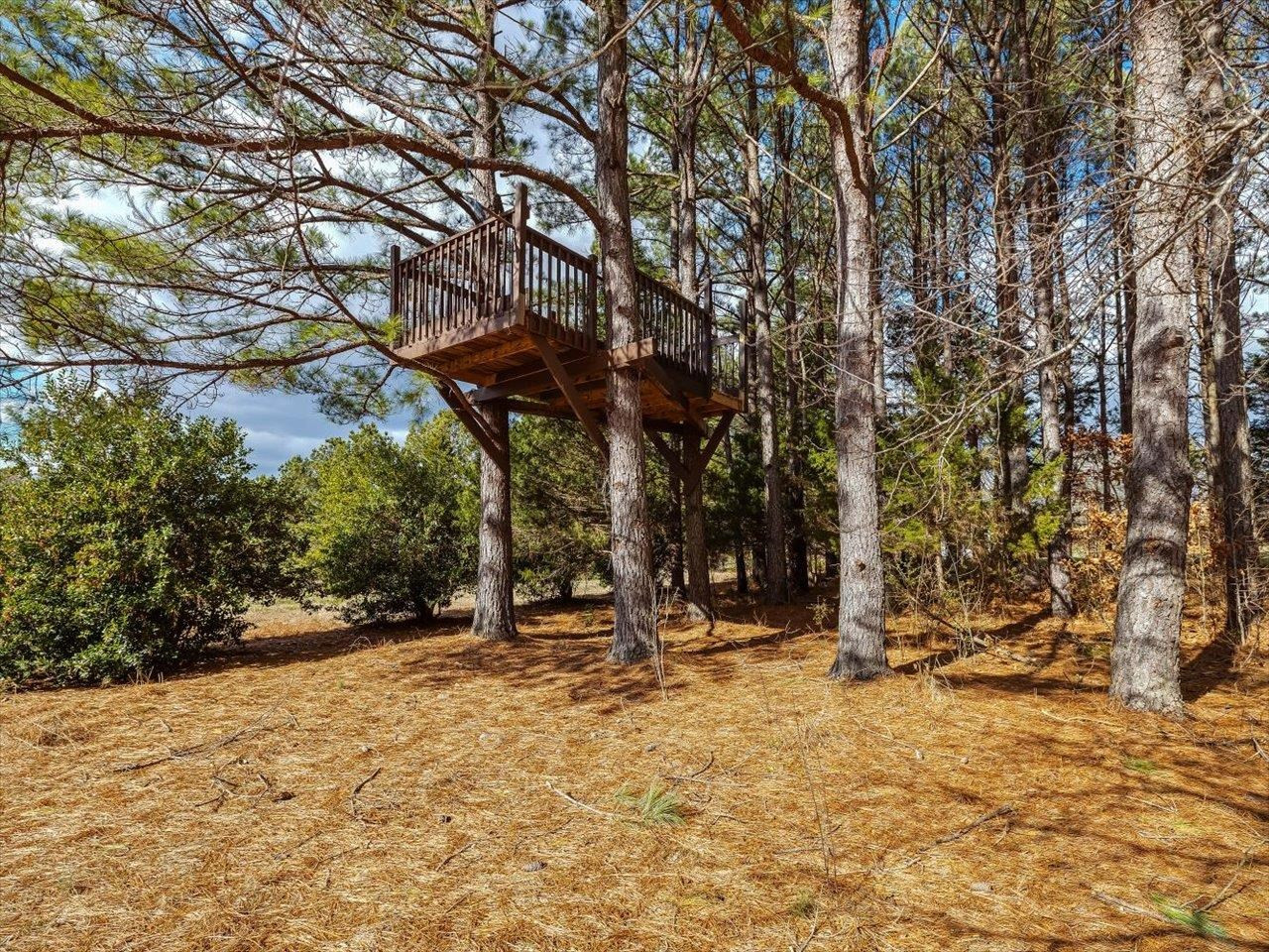 7802 Ball Road Bahama, NC 27503 - Photo 44 of 48 Photo 44