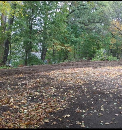 23 Magnolia Road Natick, MA 01760 - Photo 13 of 13 a view of a yard with a tree