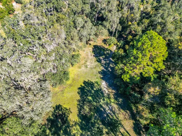 a view of a tree in a yard