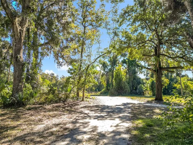 a view of a yard with yellow lighting