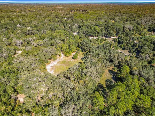a view of a city with lush green forest
