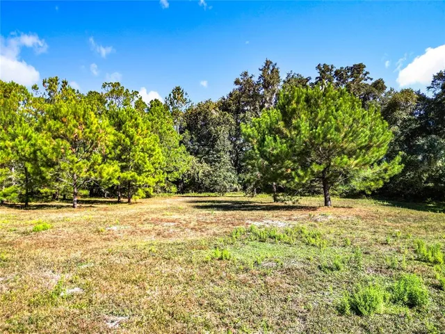 a view of a yard with a tree