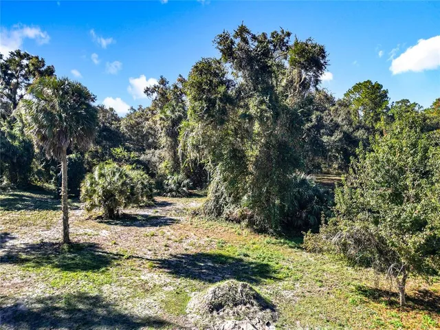 a view of a yard with plants