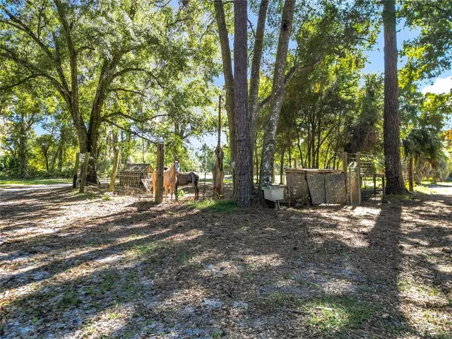 a view of a tree in front of a house