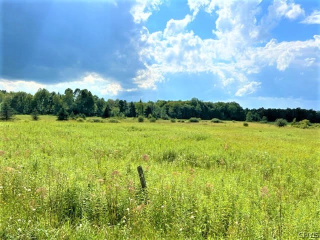 231 Moore Road Manheim, NY 13329 - Photo 1 of 1 Gallery Image 1