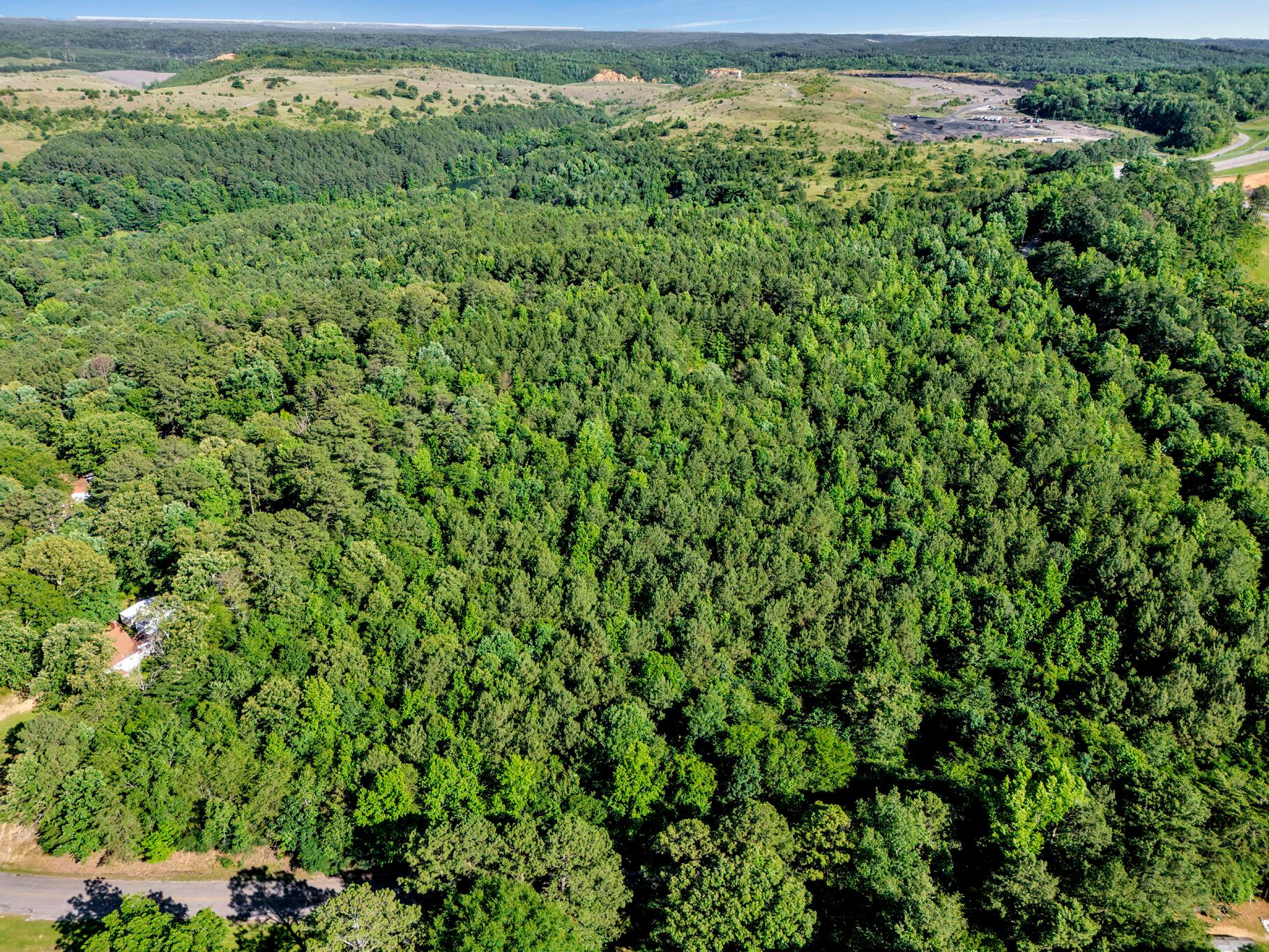 4290 Woodruff Road Adamsville, AL 35005 - Photo 7 of 20 Aerial View