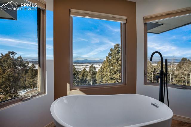 10255 Elk Ridge South Divide, CO 80814 - Photo 29 of 50