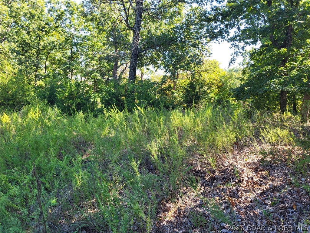 32534 Compromise Road Gravois Mills, MO 65037 - Photo 3 of 12