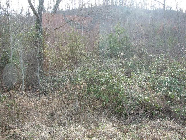 999 Dreyfus Road Waco, KY 40385 - Photo 7 of 14 Photo 7