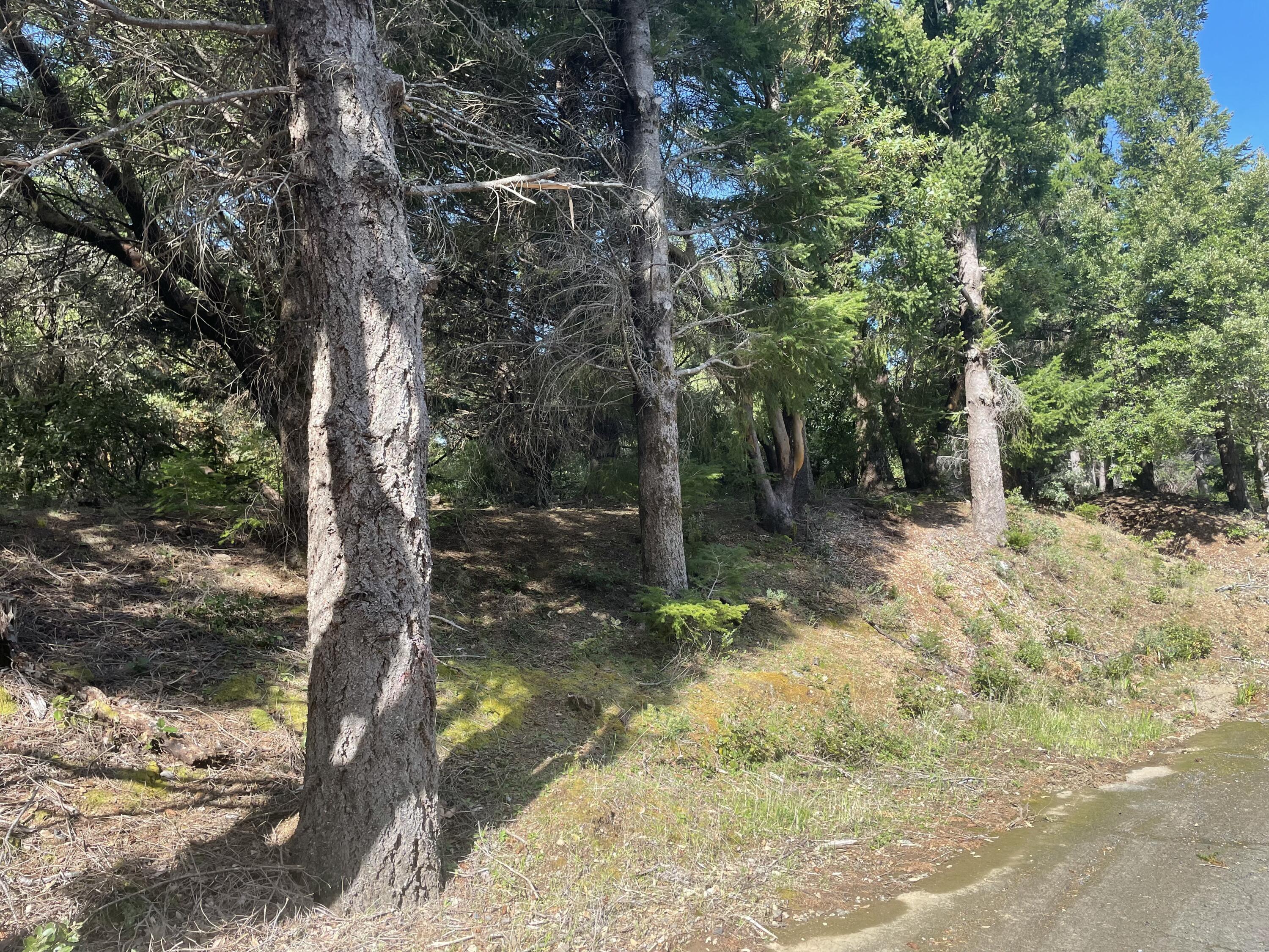 463 Cook Road Shelter Cove, CA 95589 - Photo 3 of 9