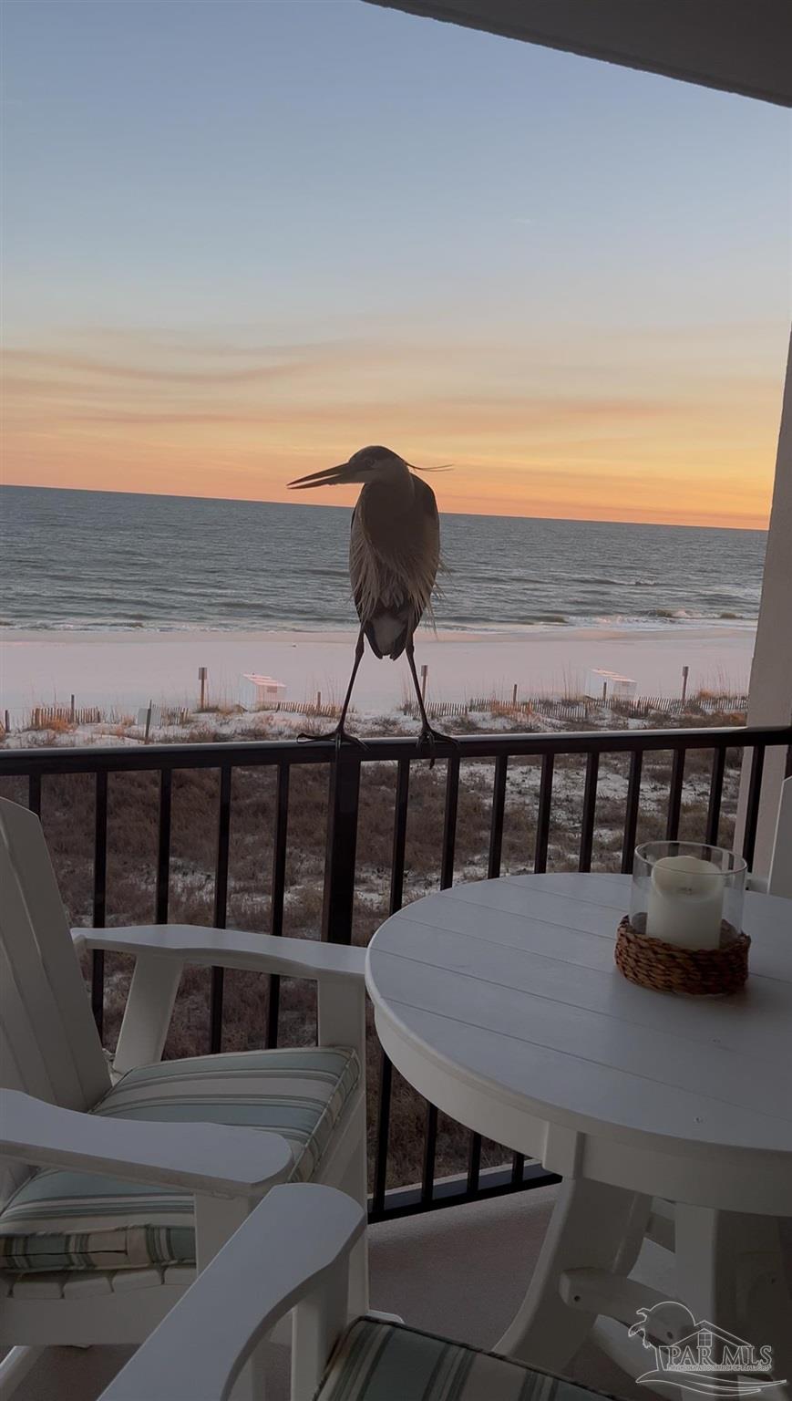 14623 Perdido Key Drive, Unit W301 Perdido Key, FL 32507 - Photo 53 of 55
