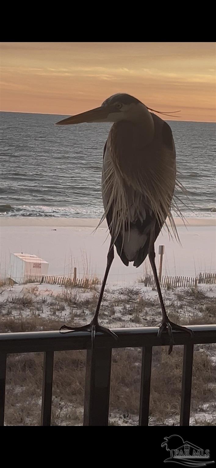 14623 Perdido Key Drive, Unit W301 Perdido Key, FL 32507 - Photo 54 of 55
