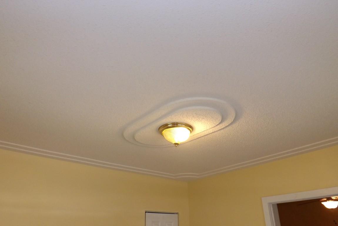 146 Landreth Street Spring City, TN 37381 - Photo 20 of 37 ceiling in bedroom 1