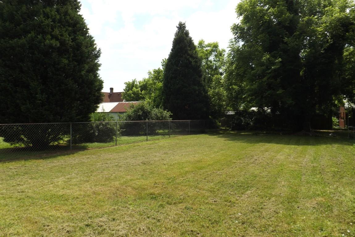 146 Landreth Street Spring City, TN 37381 - Photo 3 of 37 fenced yard