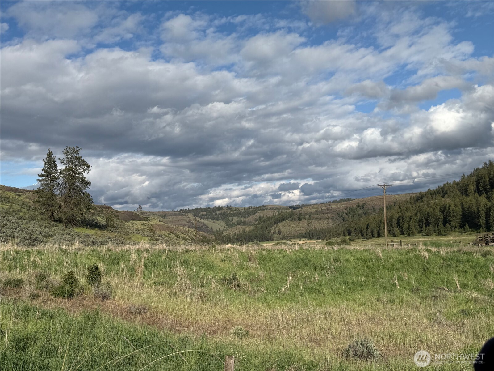 37235 Redwine Canyon Road Creston, WA 99117 - Photo 19 of 23 Gallery Image 19