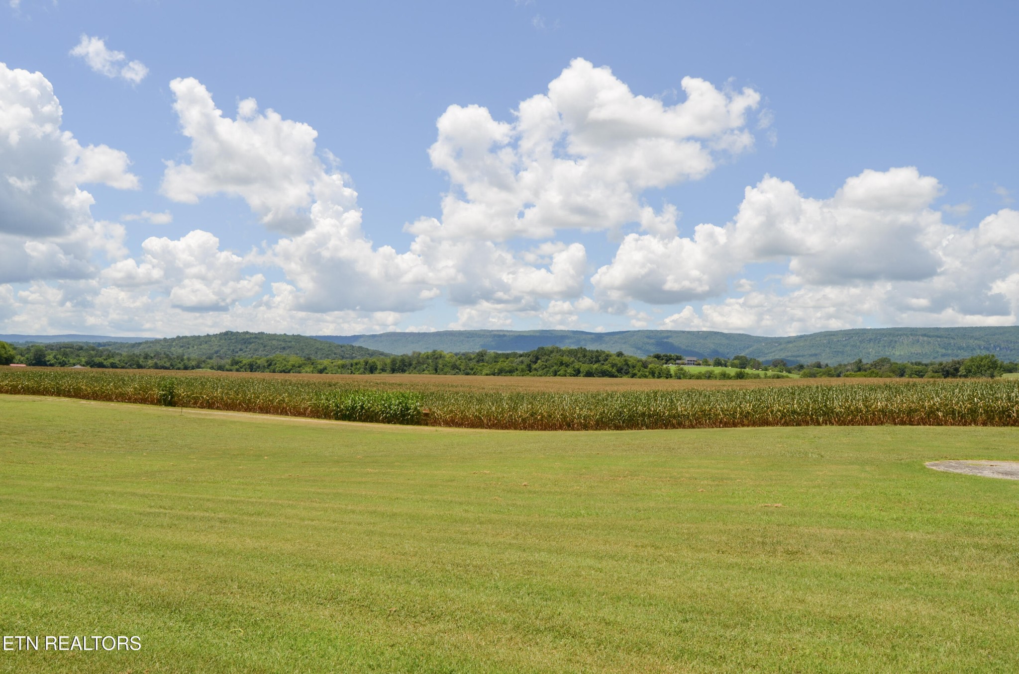 241 Terry Road Pikeville, TN 37367 - Photo 44 of 47