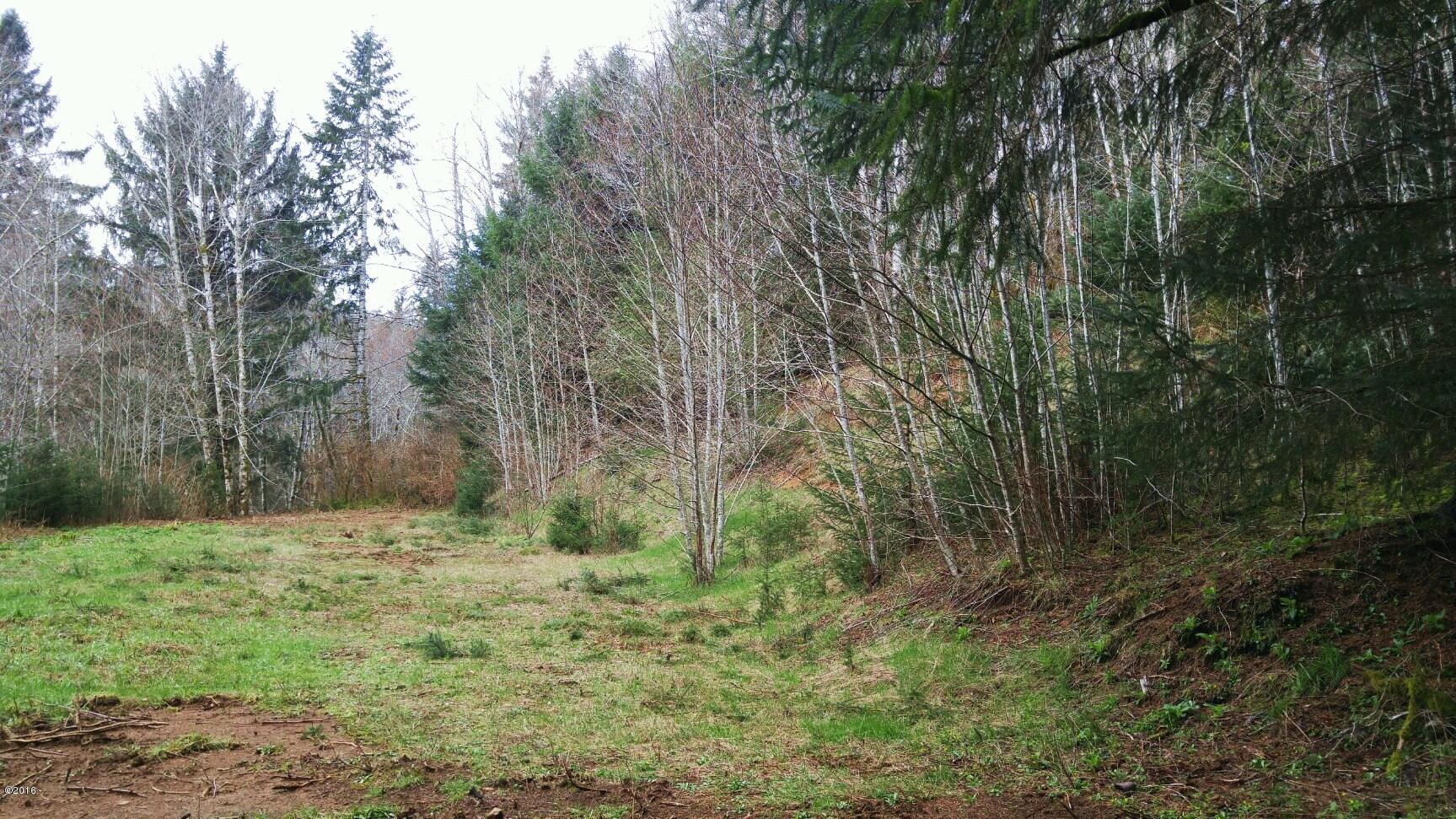 Tl202 Little Nestucca River Road Hebo, OR 97122 - Photo 6 of 10 5