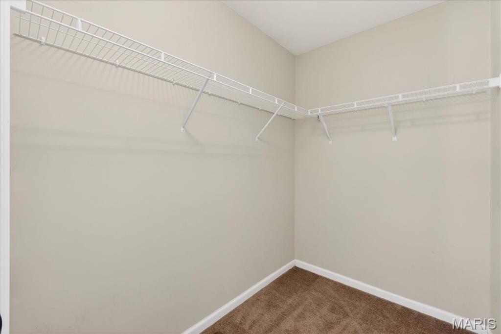 2613 Ruddy Ridge Drive High Ridge, MO 63049 - Photo 22 of 52